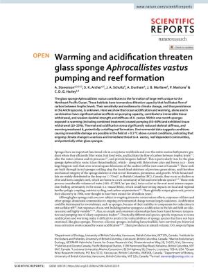 Warming and Acidification Threaten Glass Sponge Aphrocallistes Vastus Pumping and Reef Formation