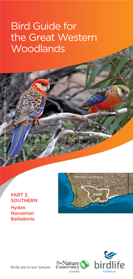 Bird Guide for the Great Western Woodlands Male and Female Western Rosella: Ben Pearce Rosella: Western Male and Female
