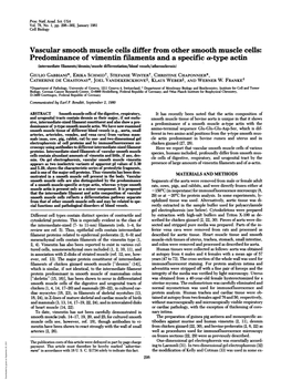 Vascular Smooth Muscle Cells Differ from Other Smooth Muscle Cells