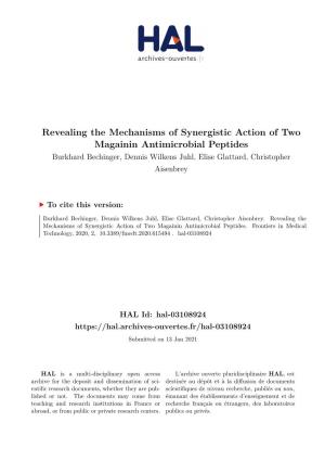 Revealing the Mechanisms of Synergistic Action of Two Magainin Antimicrobial Peptides Burkhard Bechinger, Dennis Wilkens Juhl, Elise Glattard, Christopher Aisenbrey