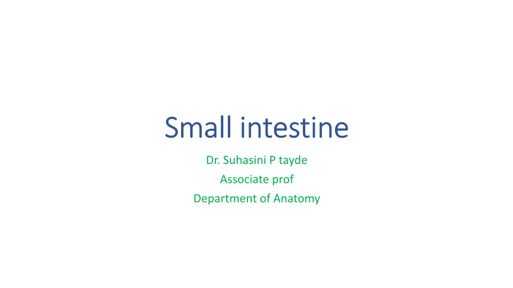 Small Intestine Dr