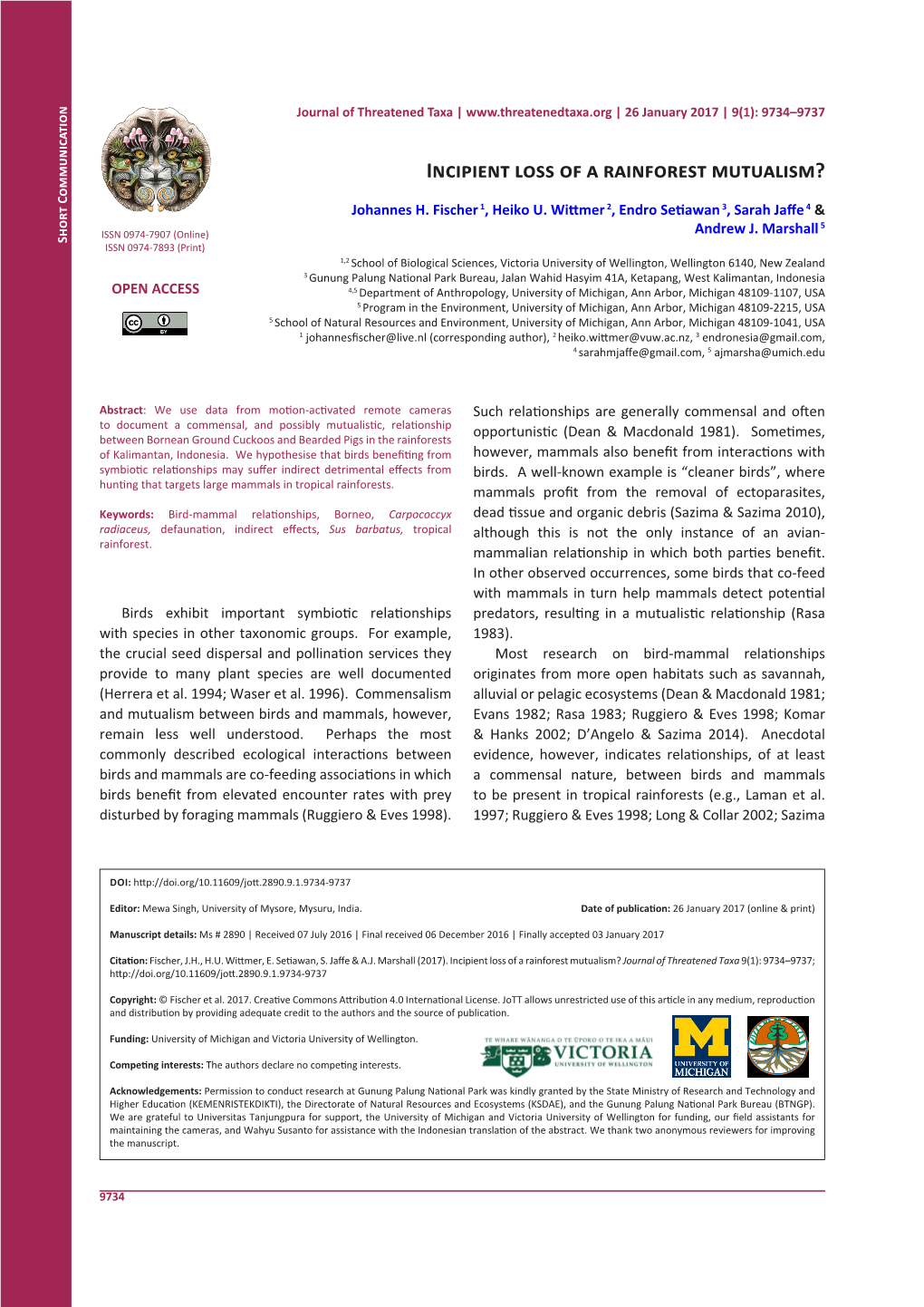 Incipient Loss of a Rainforest Mutualism?