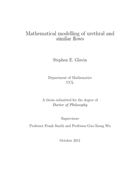 Mathematical Modelling of Urethral and Similar Flows