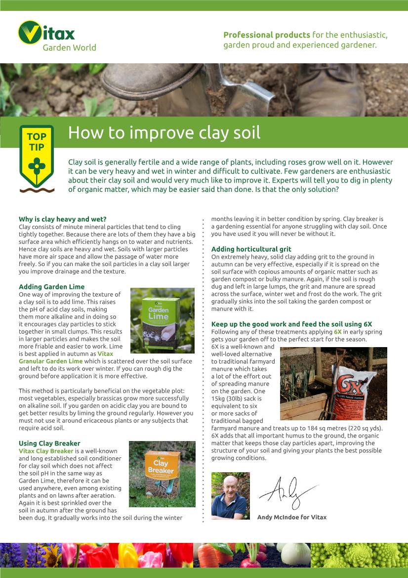 How to Improve Clay Soil TIP Clay Soil Is Generally Fertile and a Wide Range of Plants, Including Roses Grow Well on It