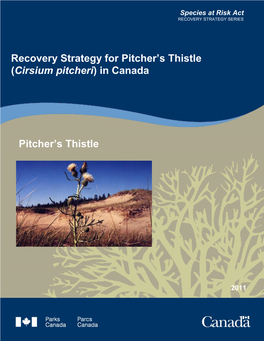 Recovery Strategy for Pitcher's Thistle (Cirsium Pitcheri) in Canada