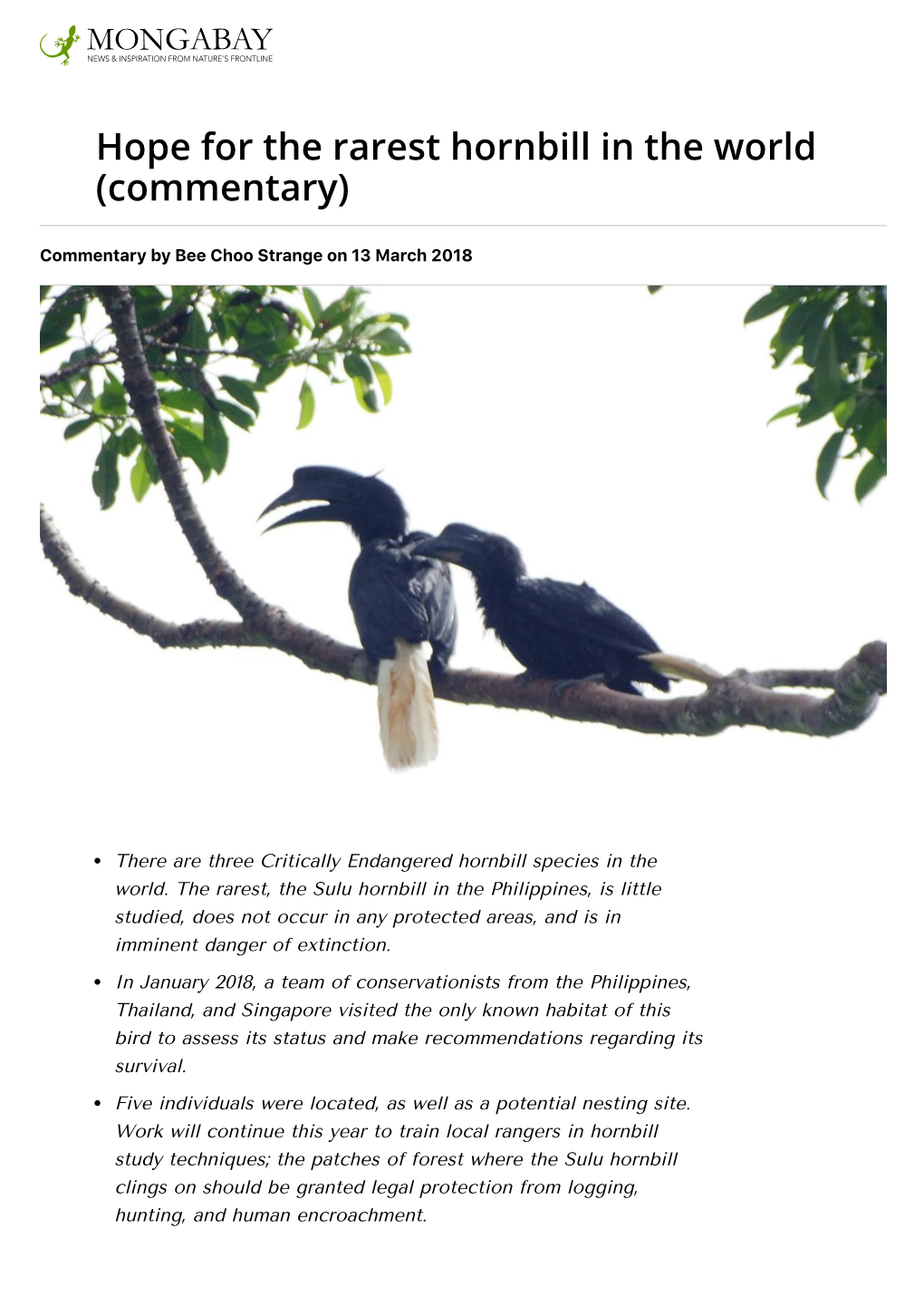 Hope for the Rarest Hornbill in the World (Commentary)