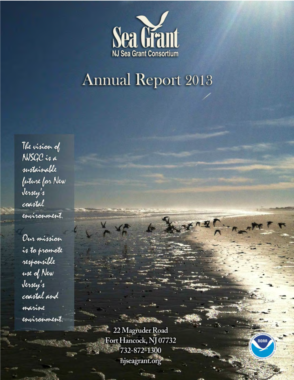 Annual-Report-2013-Pages.Pdf