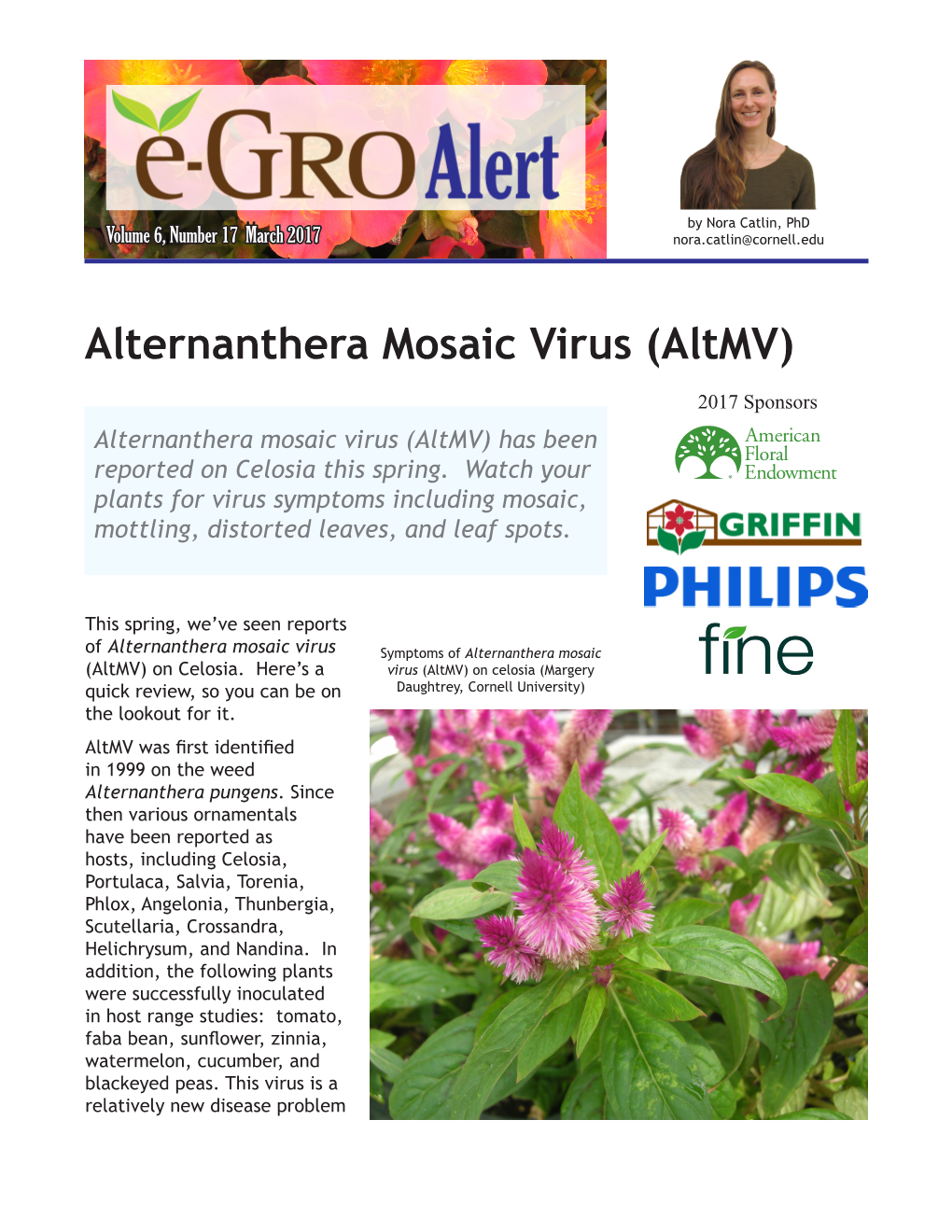 Alternanthera Mosaic Virus (Altmv)