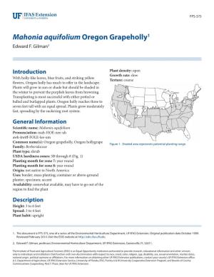 Mahonia Aquifolium Oregon Grapeholly1 Edward F