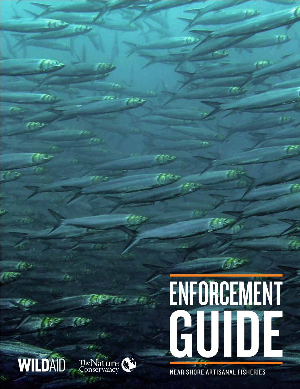 Near Shore Artisanal Fisheries Enforcement Guide: Near Shore Artisanal Fisheries Purpose Abbreviations