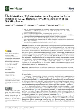 Administration of Bifidobacterium Breve Improves the Brain Function