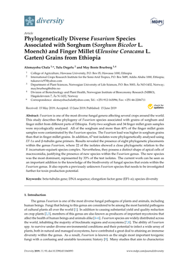 Phylogenetically Diverse Fusarium Species Associated with Sorghum (Sorghum Bicolor L