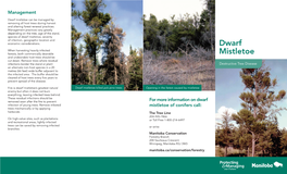 Dwarf Mistletoe Can Be Managed by Removing All Host Trees During Harvest and Altering Forest Renewal Practices