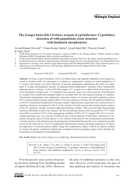 The Ganges Basin Fish Cirrhinus Mrigala (Cypriniformes: Cyprinidae): Detection of Wild Populations Stock Structure with Landmark Morphometry