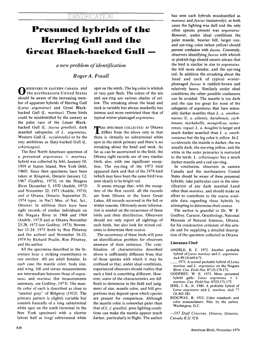 Presumed Hybrids of the Herring Gull and the Great Black-Backed Gull