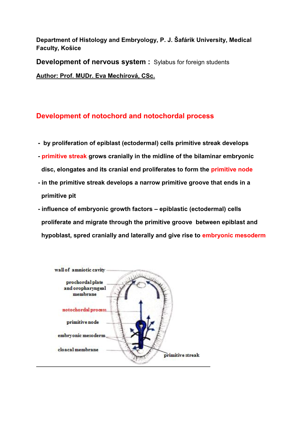 Development of Nervous System : Sylabus for Foreign Students