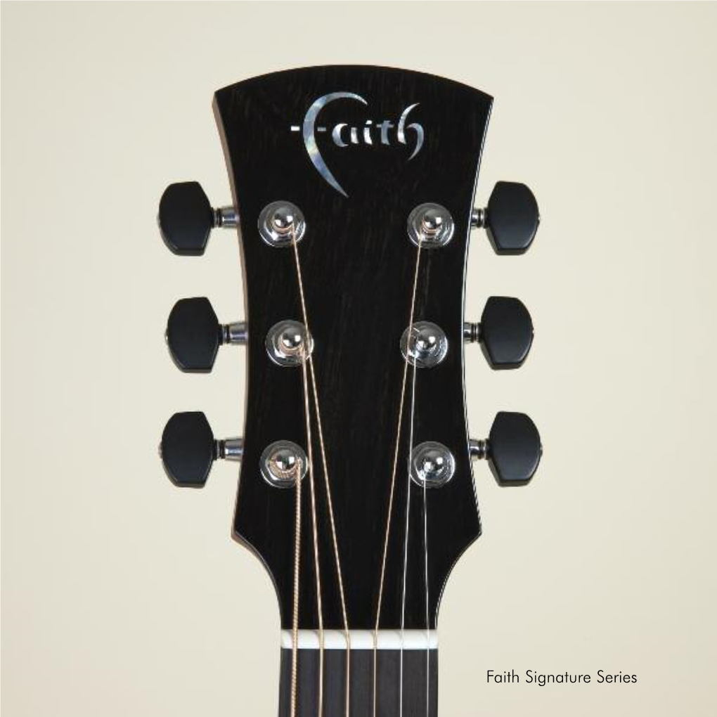 Faith Signature Series the Guitar You ’Ve Always Promised Yourself