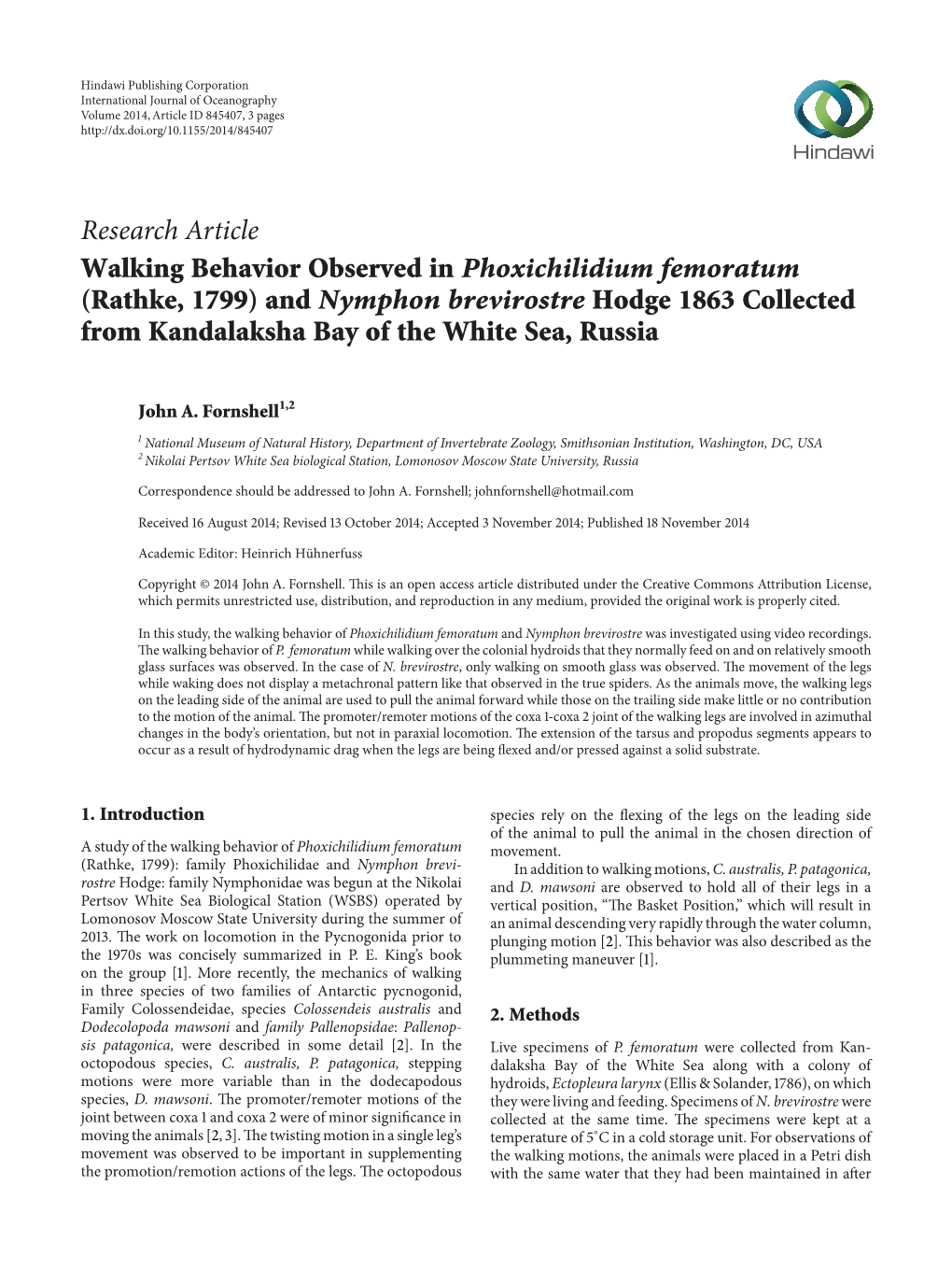 Walking Behavior Observed in Phoxichilidium Femoratum (Rathke, 1799) and Nymphon Brevirostre Hodge 1863 Collected from Kandalaksha Bay of the White Sea, Russia