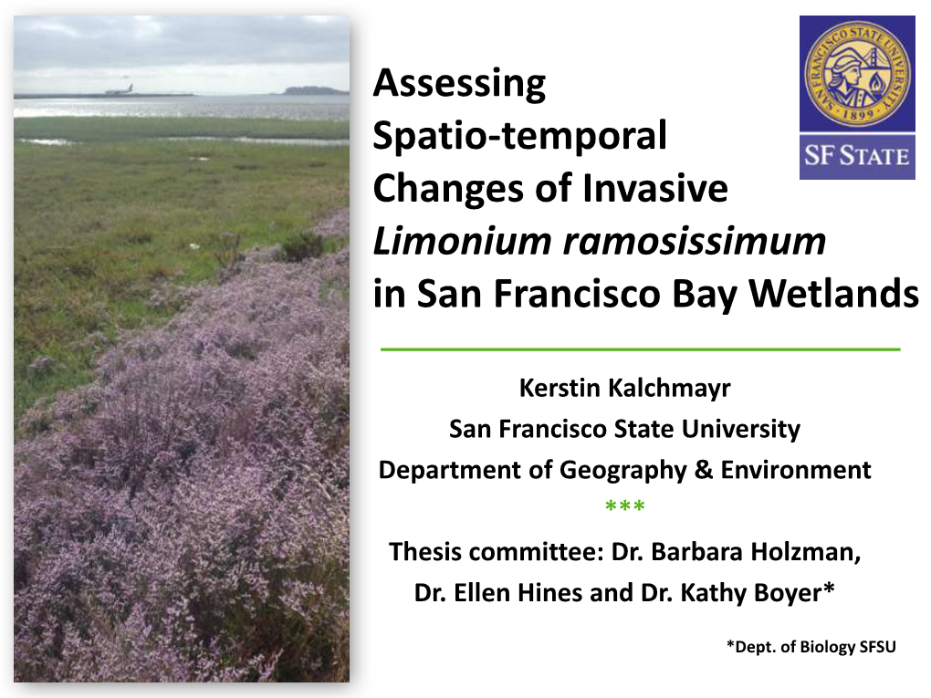 Assessing Spatio-Temporal Changes of Invasive Limonium Ramosissimum in San Francisco Bay Wetlands