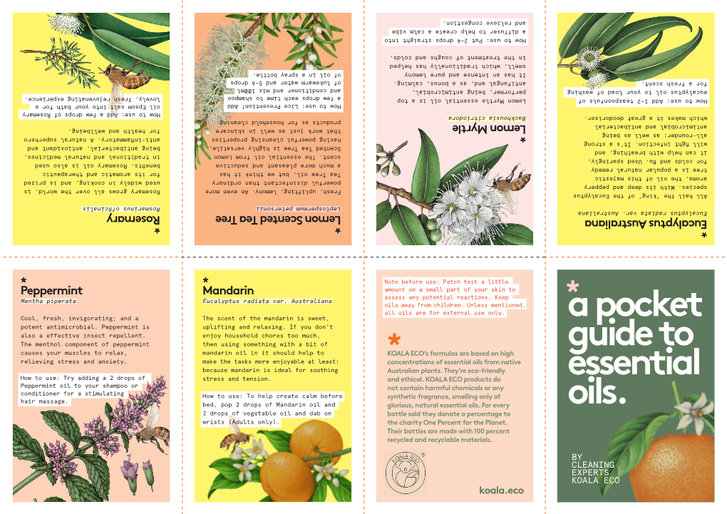 A Pocket Guide to Essential Oils