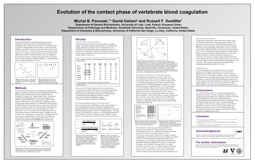 Evolution of Contact Phase of Vertebrate Blood Coagulation