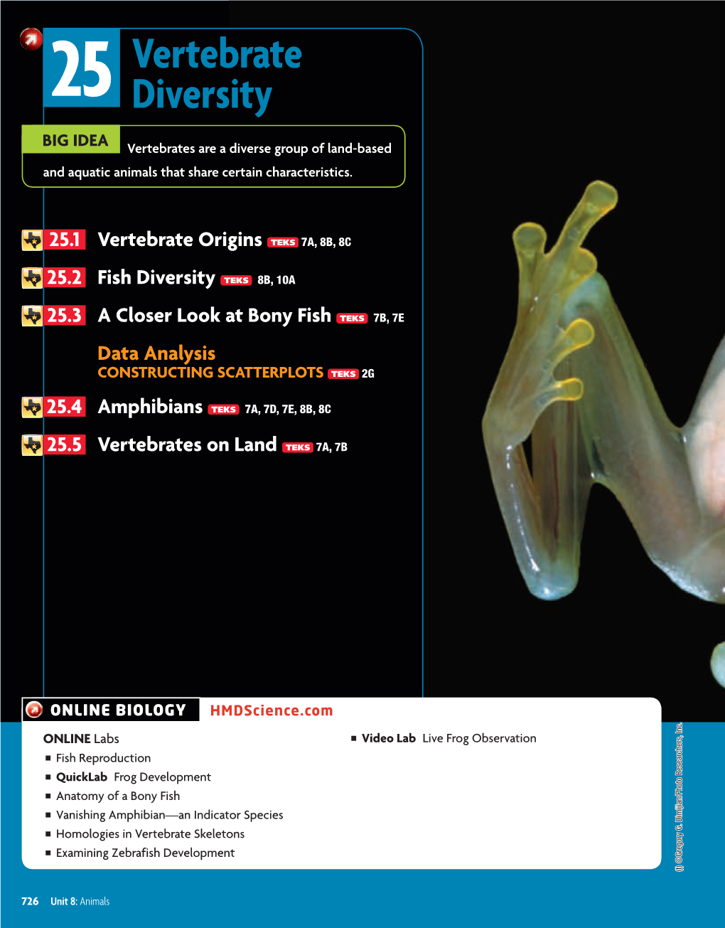 Vertebrate Diversity 727 DO NOT EDIT--Changes Must Be Made Through “File Info” Correctionkey=A