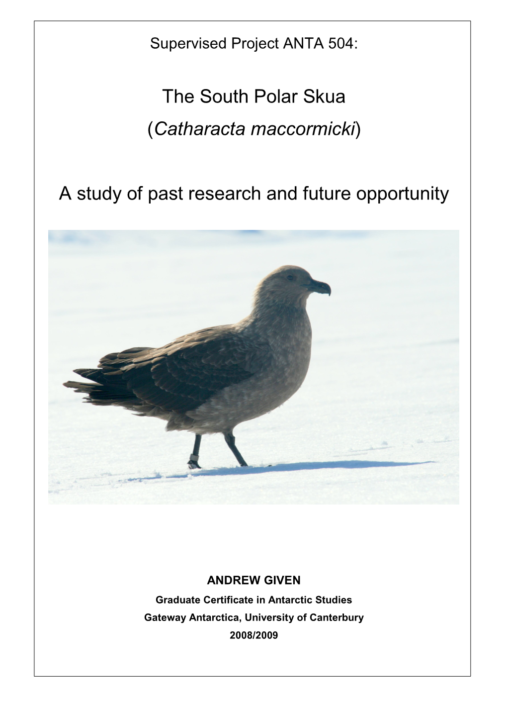 The South Polar Skua (Catharacta Maccormicki)