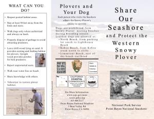 Brochure: Share Our Seashore and Protect the Western Snowy Plover