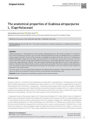 The Anatomical Properties of Scabiosa Atropurpurea L. (Caprifoliaceae)