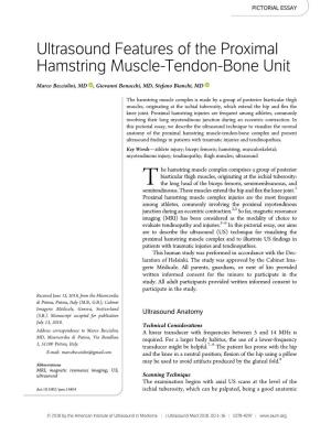 Ultrasound Features of the Proximal Hamstring Muscle‐Tendon
