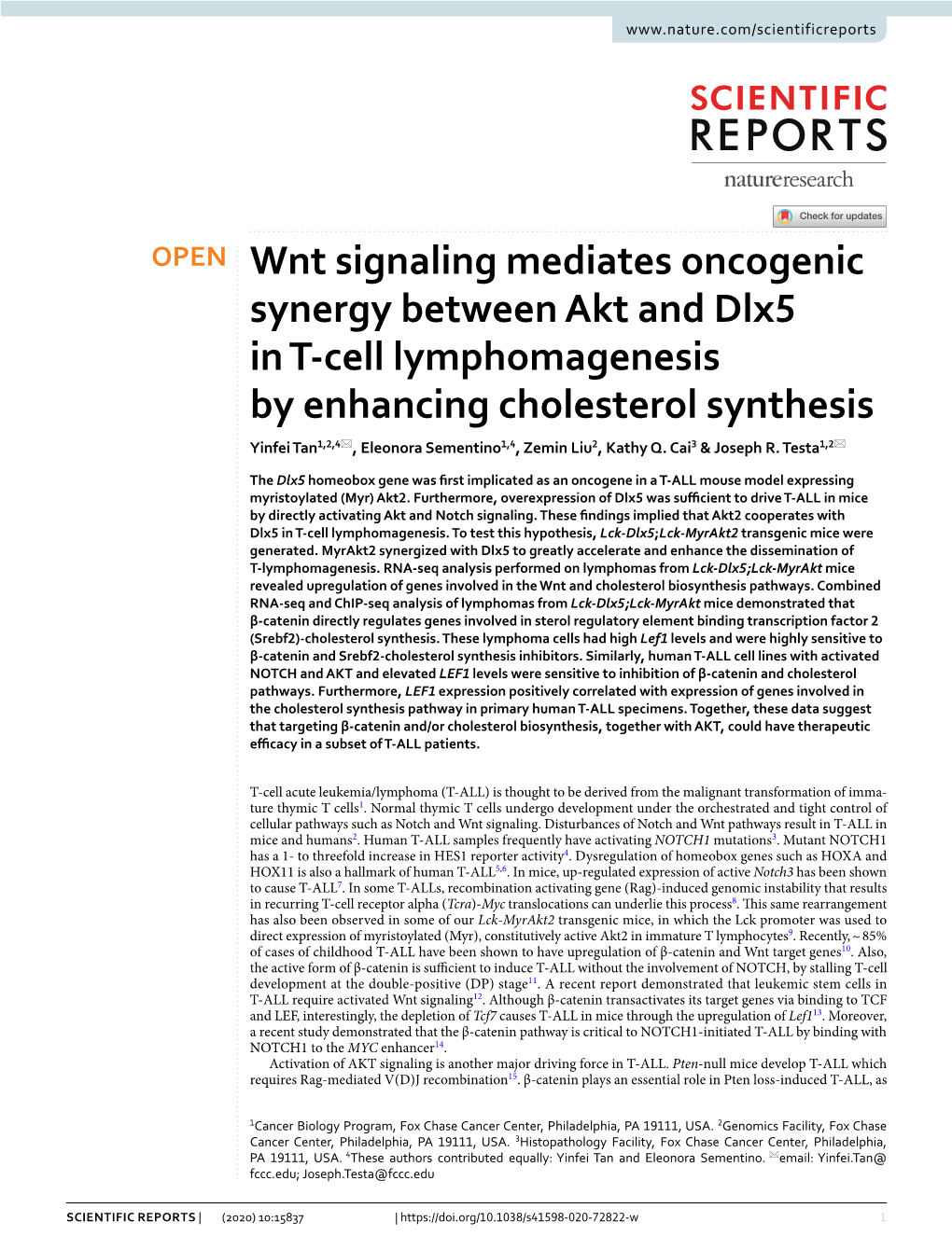 Wnt Signaling Mediates Oncogenic Synergy Between Akt and Dlx5 in T