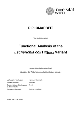 Functional Analysis of the Escherichia Coli Hfqg29a Variant