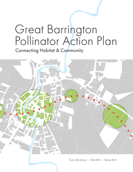 Great Barrington Pollinator Action Plan Connecting Habitat & Community