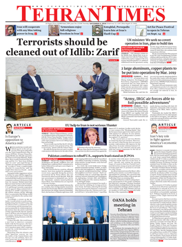 Terrorists Should Be Cleaned out of Idlib: Zarif