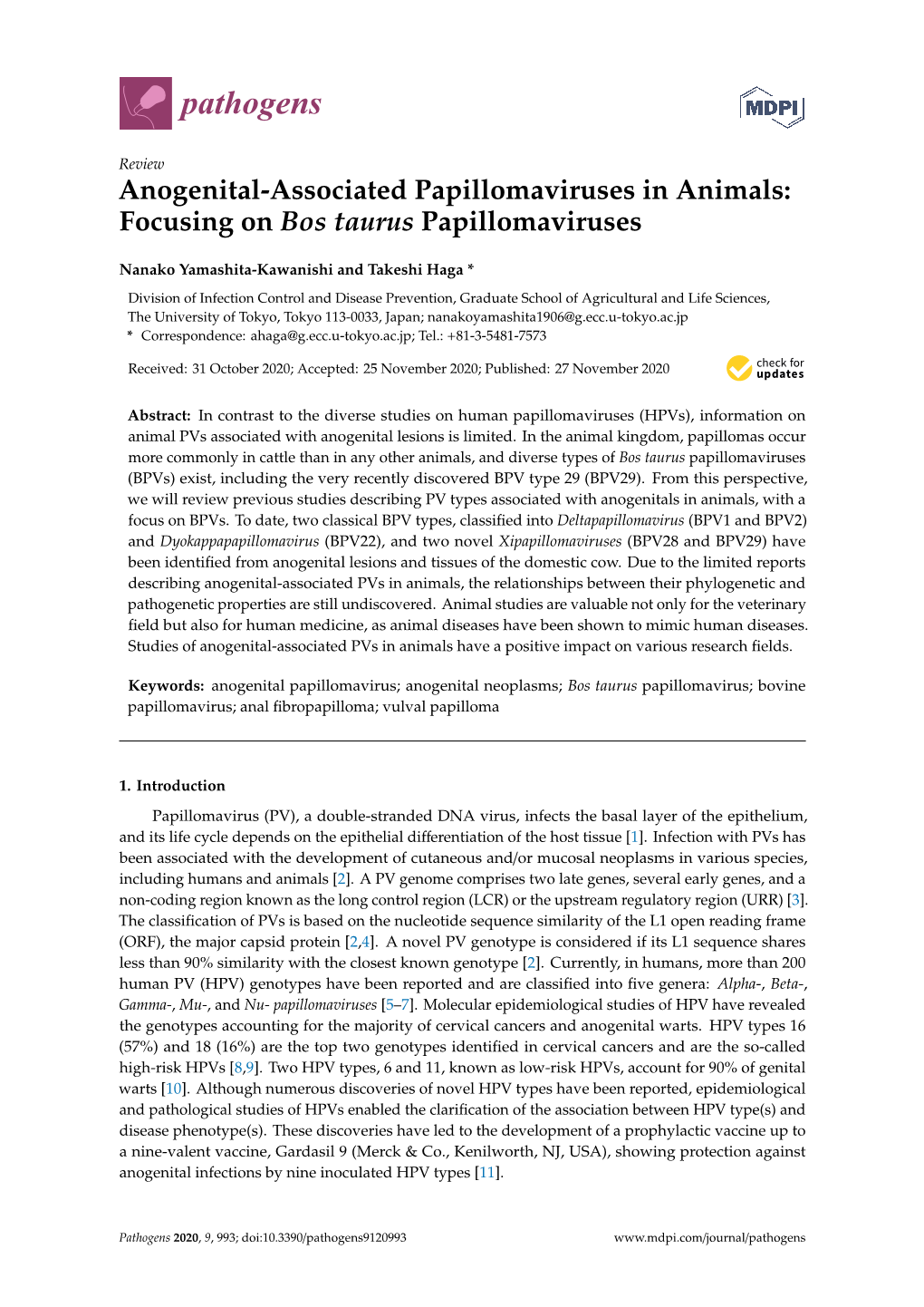 Focusing on Bos Taurus Papillomaviruses