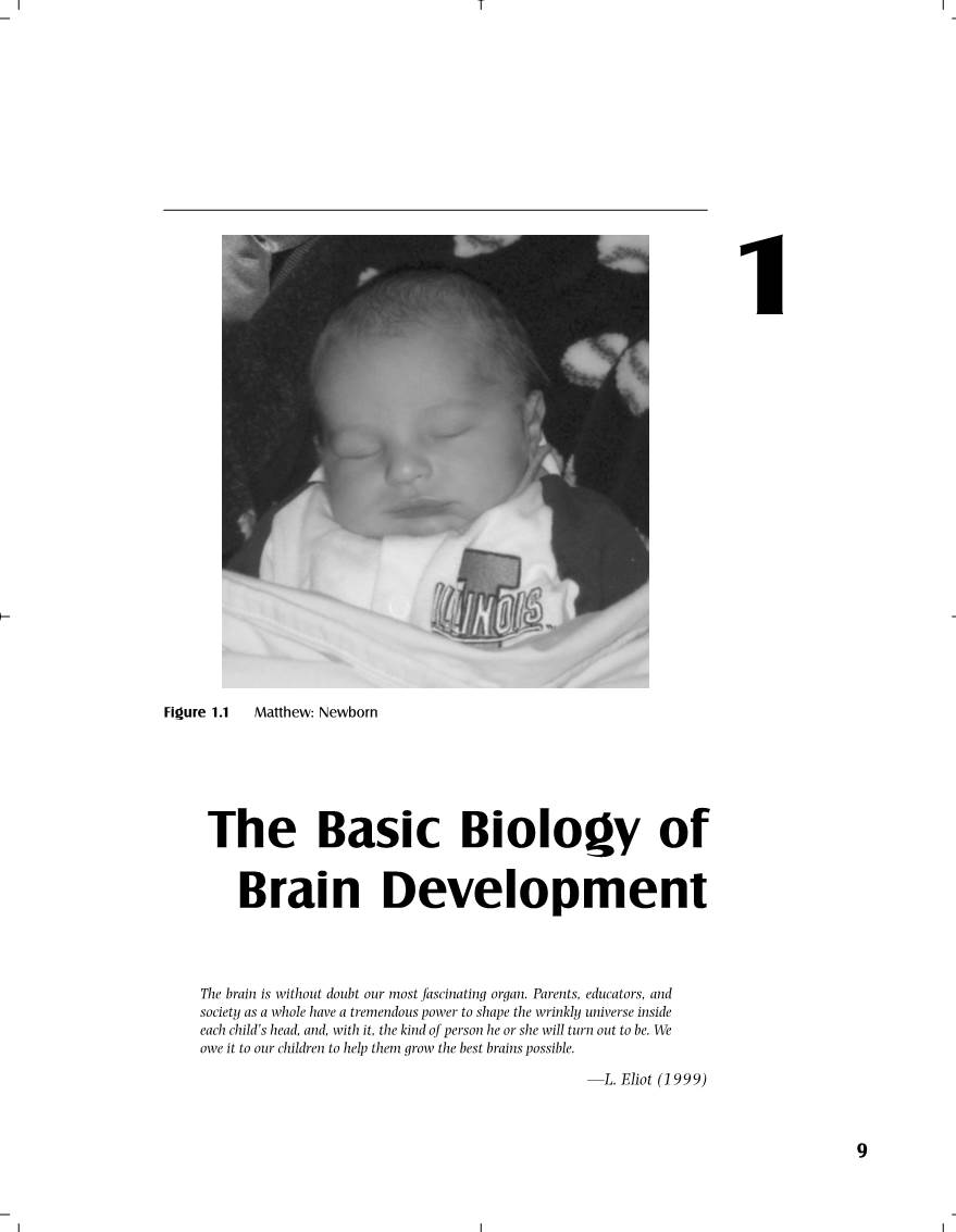 The Basic Biology of Brain Development