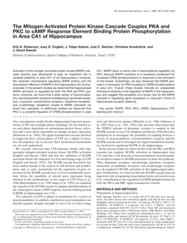 The Mitogen-Activated Protein Kinase Cascade Couples PKA and PKC to Camp Response Element Binding Protein Phosphorylation in Area CA1 of Hippocampus