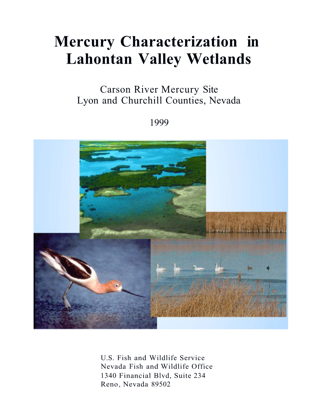 Mercury Characterization in Lahontan Valley Wetlands