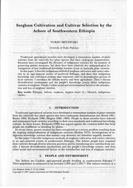 Sorghum Cultivation and Cultivar Selection by the Arbore of Southwestern Ethiopia