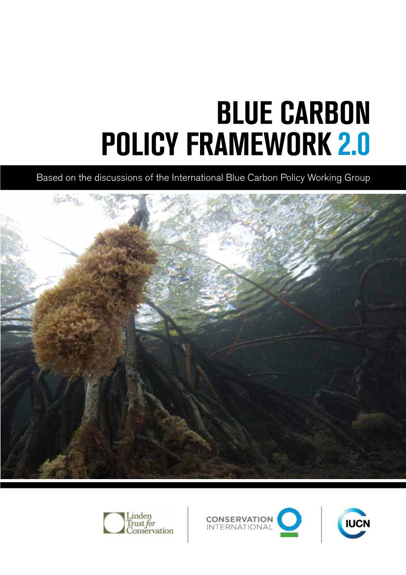 Blue Carbon Policy Framework: Based on the Discussion of the International Blue Carbon Policy Working Group