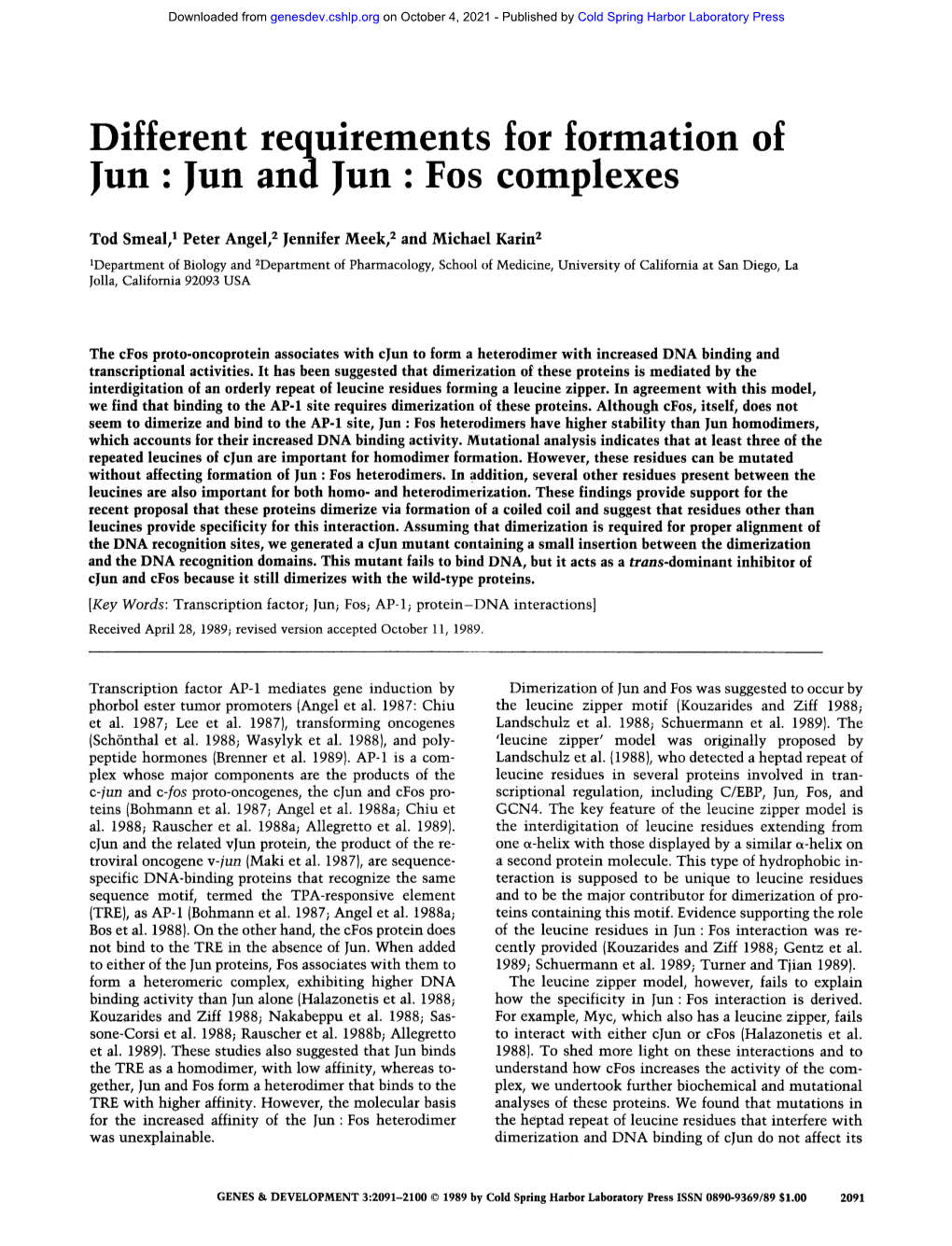 Different Requirements for Formation of Jun: Jun and Jun : Fos Complexes