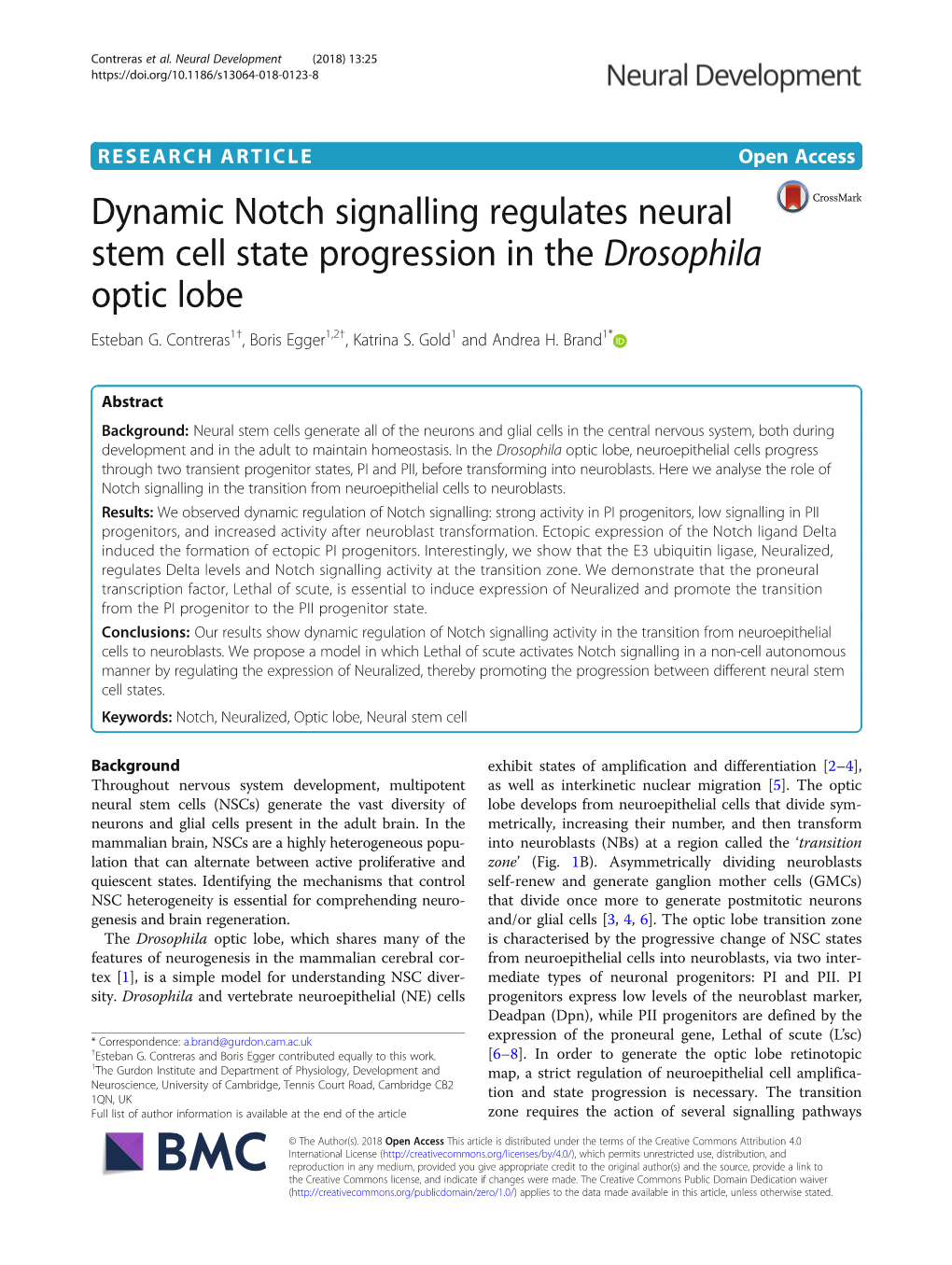 Dynamic Notch Signalling Regulates Neural Stem Cell State Progression in the Drosophila Optic Lobe Esteban G