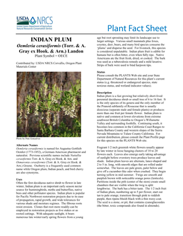 Plant Fact Sheet for Indian Plum (Oemleria Cerasiformis)