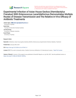 Hemidactylus Frenatus) with Enterococcus Lacertideformus Demonstrates Multiple Routes of Disease Transmission and the Relative In-Vivo Efcacy of Antibiotic Treatments