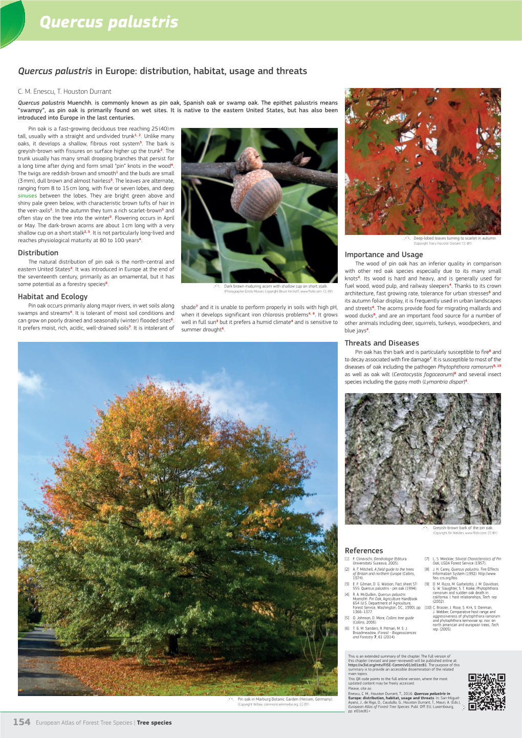 Quercus Palustris in Europe: Distribution, Habitat, Usage and Threats