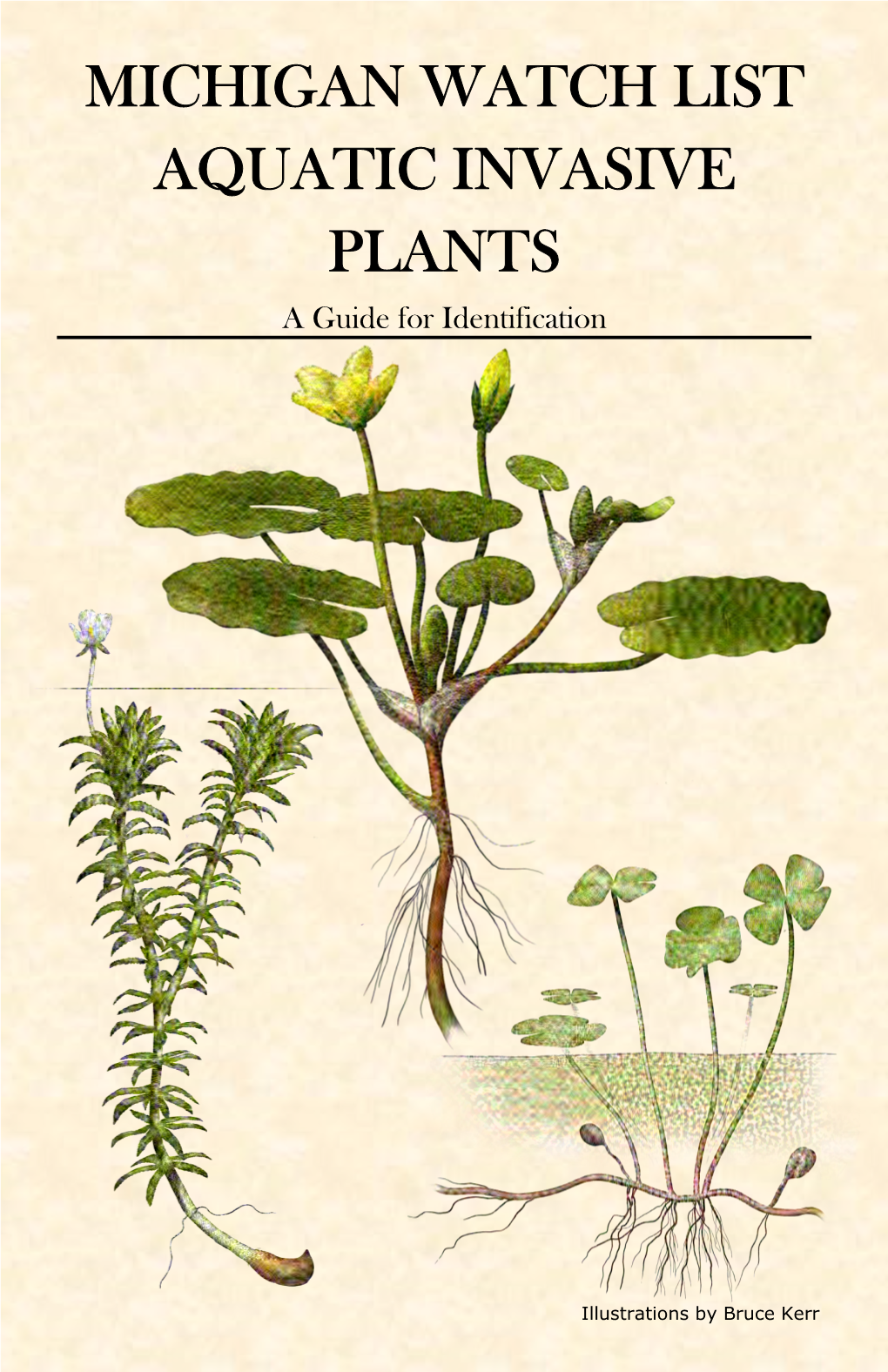 MICHIGAN WATCH LIST AQUATIC INVASIVE PLANTS a Guide for Identification