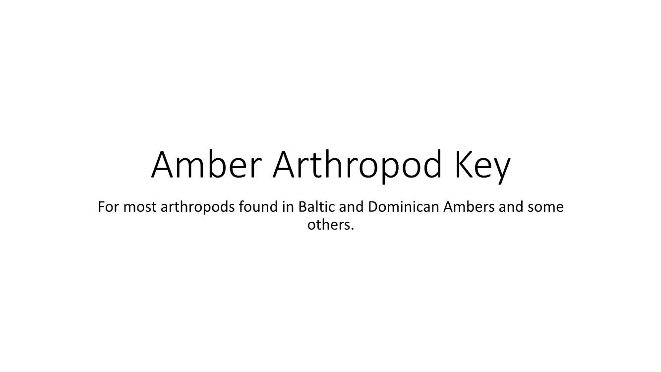 Amber Arthropod Key for Most Arthropods Found in Baltic and Dominican Ambers and Some Others