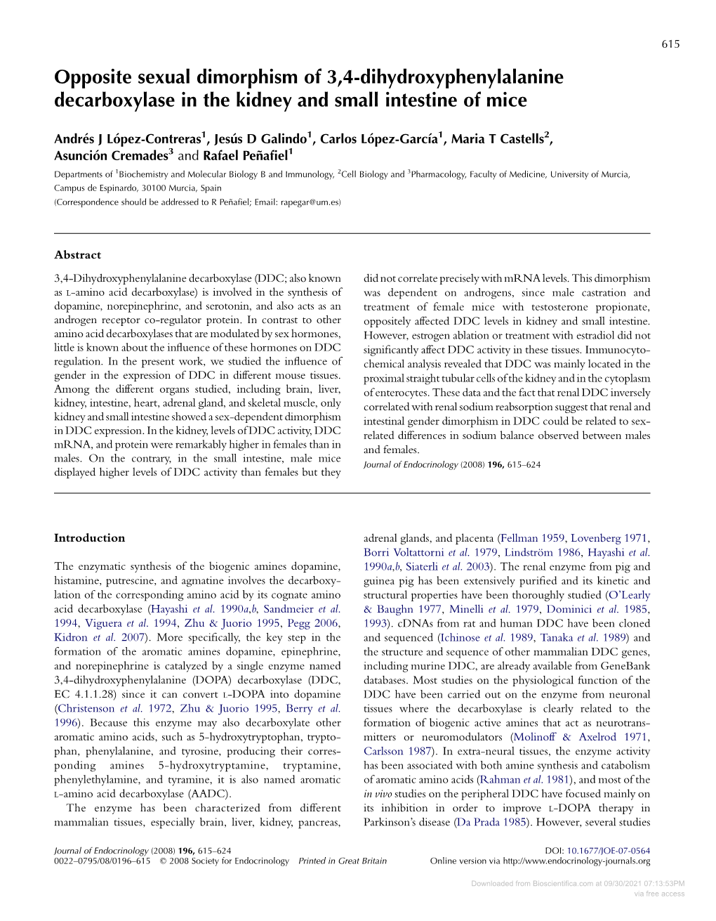 Opposite Sexual Dimorphism of 3,4-Dihydroxyphenylalanine Decarboxylase in the Kidney and Small Intestine of Mice