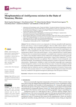 Morphometrics of Amblyomma Mixtum in the State of Veracruz, Mexico