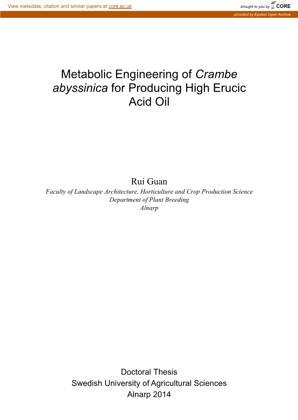 Metabolic Engineering of Crambe Abyssinica for Producing High Erucic Acid Oil